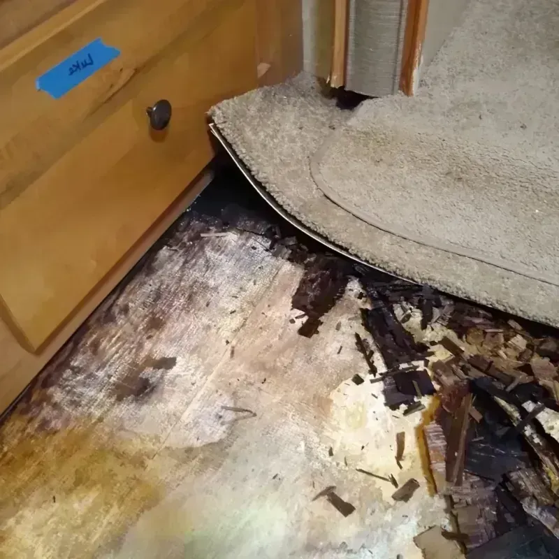 Wood Floor Water Damage in Miami Heights, OH